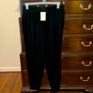 NWT. Velvet joggers. skies are blue 1xl.